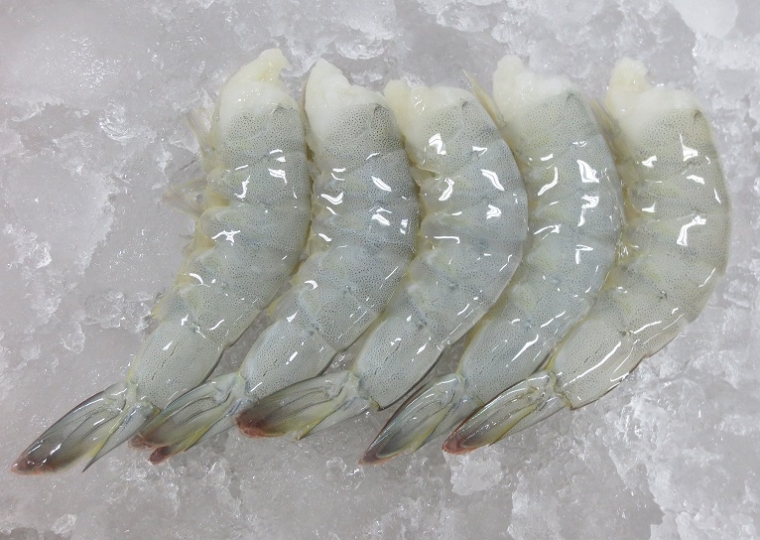 Raw HLSO Nannamei Shrimp