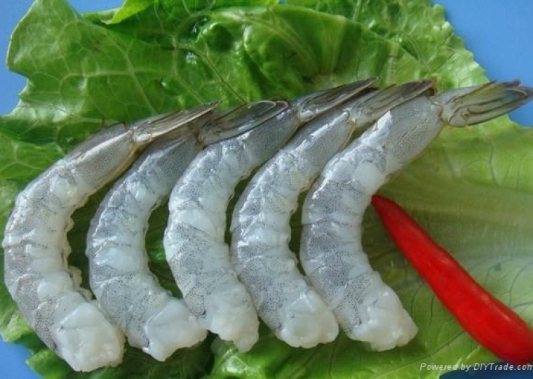Raw PDTO Vannamei Shrimp