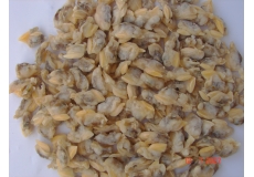 clam meat white