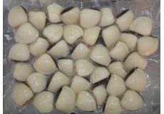 White/Yellow clams
