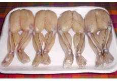 Frog Legs